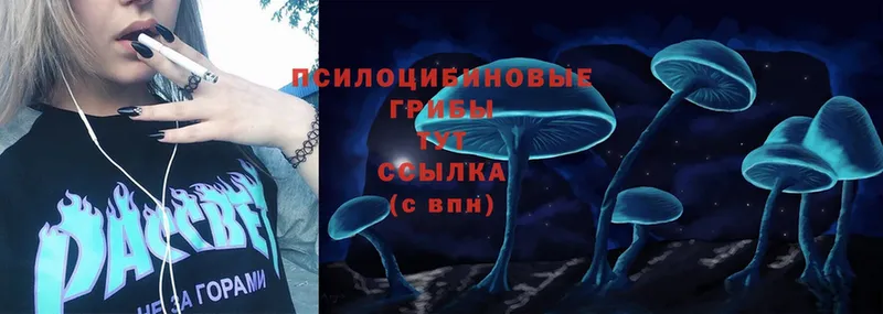 Псилоцибиновые грибы Psilocybine cubensis  Покачи 